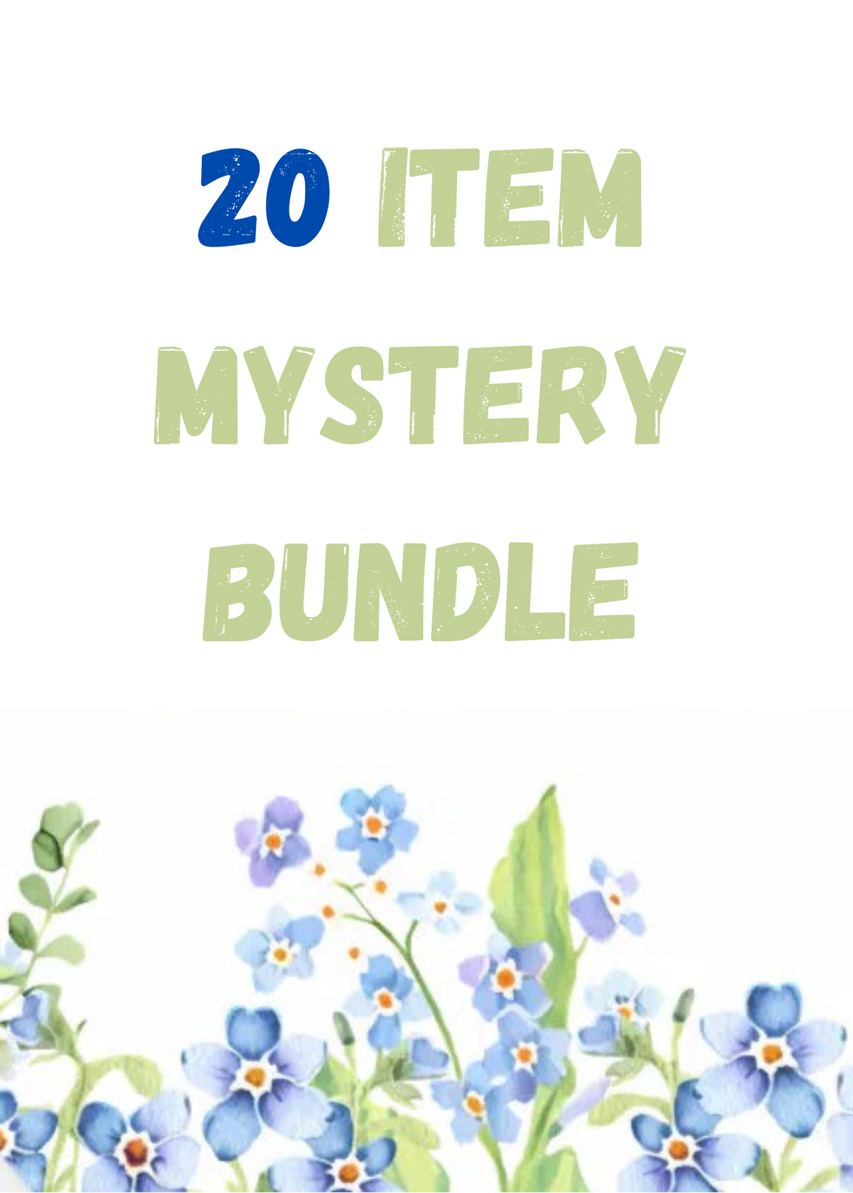 20+ Item Mystery Bundle with 1 FMN Surprise