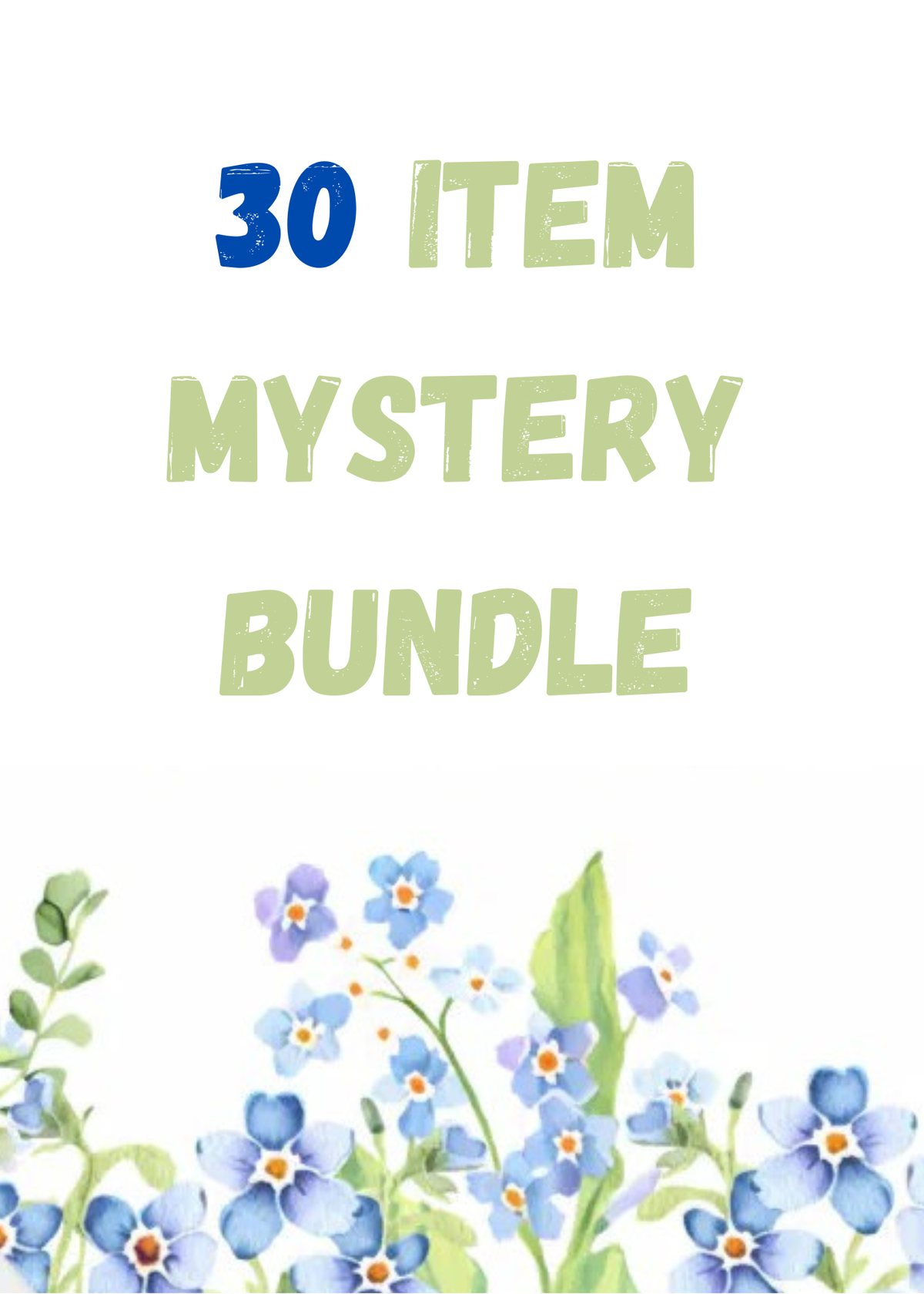 30+ Item Mystery Bundle with 2 FMN Surprises
